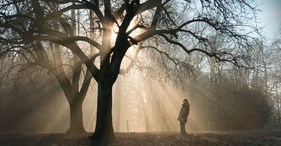 Mann genießt die Ruhe im Wald